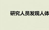 研究人员发现人体测量学的巨大缺陷