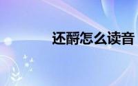 还酹怎么读音（还酹的读音）