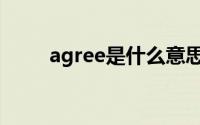 agree是什么意思（agree的意思）