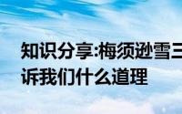 知识分享:梅须逊雪三分白雪却输梅一段香告诉我们什么道理