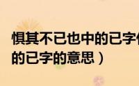 惧其不已也中的已字什么意思（惧其不已也中的已字的意思）