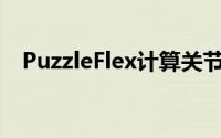 PuzzleFlex计算关节松动系统的运动运动