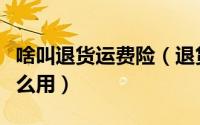 啥叫退货运费险（退货运费险是什么到底有什么用）