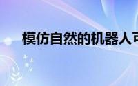 模仿自然的机器人可以建造未来的城市