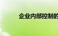 企业内部控制的实施主体包括()