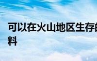 可以在火山地区生存的甲虫激发了新的冷却材料