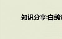 知识分享:白鹅课文原文及赏析