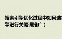 搜索引擎优化过程中如何选择关键词（如何利用站内搜索引擎进行关键词推广）