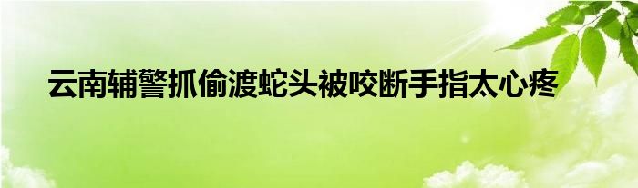 云南辅警抓偷渡蛇头被咬断手指太心疼