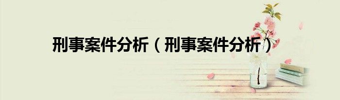 刑事案件分析（刑事案件分析）