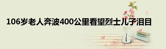 106岁老人奔波400公里看望烈士儿子泪目