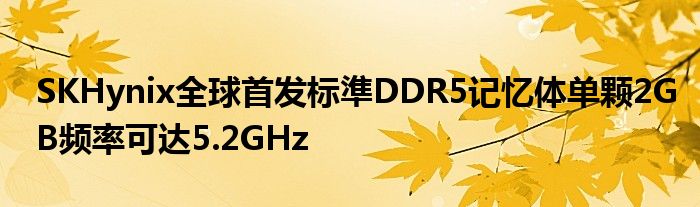 SKHynix全球首发标準DDR5记忆体单颗2GB频率可达5.2GHz