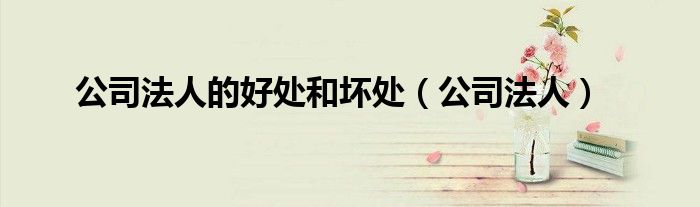 公司法人的好处和坏处（公司法人）
