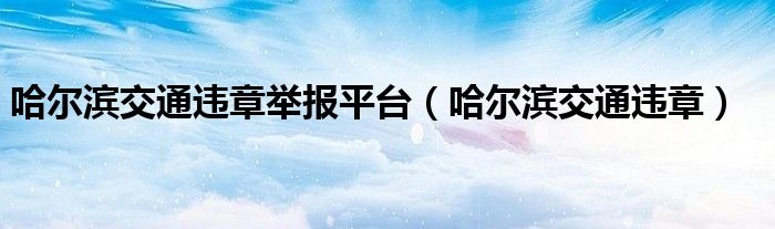 哈尔滨交通违章举报平台（哈尔滨交通违章）