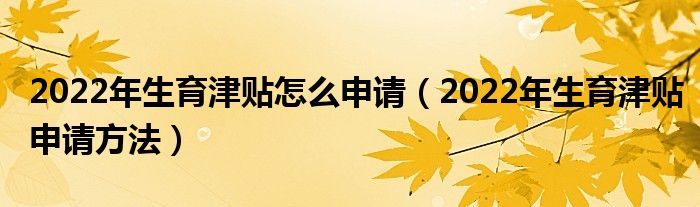 2022年生育津贴怎么申请（2022年生育津贴申请方法）