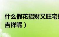 什么假花招财又旺宅好养（家里摆什么假花最吉祥呢）
