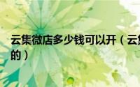 云集微店多少钱可以开（云集微店官网的开店流程是什么样的）