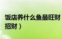 饭店养什么鱼最旺财（做个体生意养什么鱼最招财）
