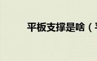 平板支撑是啥（平板支撑的介绍）