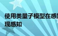 使用类量子模型在感知能力有限的机器人中实现感知