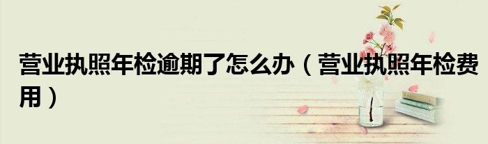 营业执照年检逾期了怎么办（营业执照年检费用）
