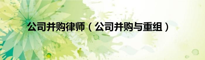 公司并购律师（公司并购与重组）
