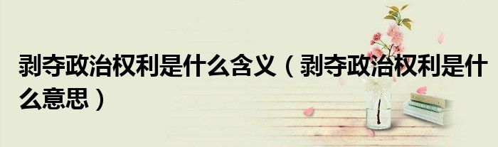 剥夺政治权利是什么含义（剥夺政治权利是什么意思）