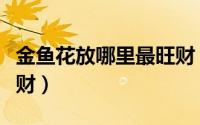 金鱼花放哪里最旺财（金鱼花放什么地方最旺财）