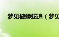 梦见被蟒蛇追（梦见被蟒蛇追什么意思）