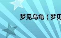 梦见乌龟（梦见乌龟代表什么）