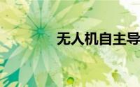 无人机自主导航和避障模型