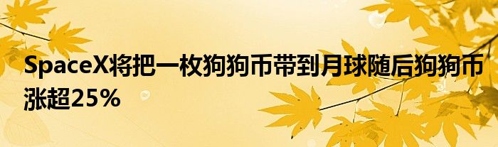 SpaceX将把一枚狗狗币带到月球随后狗狗币涨超25%