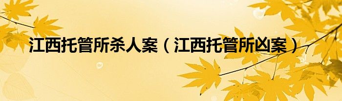 江西托管所杀人案（江西托管所凶案）