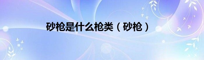 砂枪是什么枪类（砂枪）
