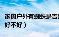 家窗户外有蜘蛛是吉是凶呢（家窗户外有蜘蛛好不好）