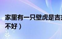 家里有一只壁虎是吉兆吗（家里有一只壁虎好不好）