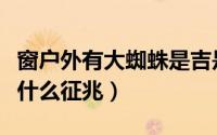 窗户外有大蜘蛛是吉是凶（窗户外有大蜘蛛是什么征兆）