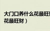 大门口养什么花最旺财旺家庭（大门口养什么花最旺财）