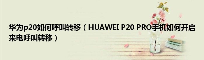 华为p20如何呼叫转移（HUAWEI P20 PRO手机如何开启来电呼叫转移）