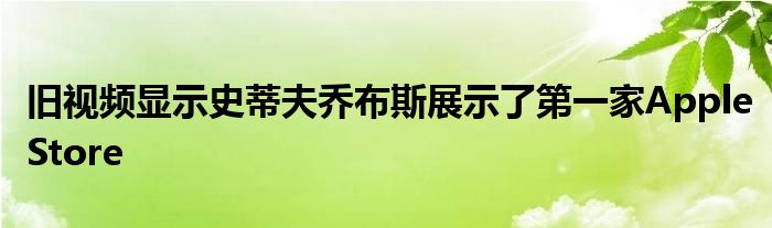 旧视频显示史蒂夫乔布斯展示了第一家AppleStore