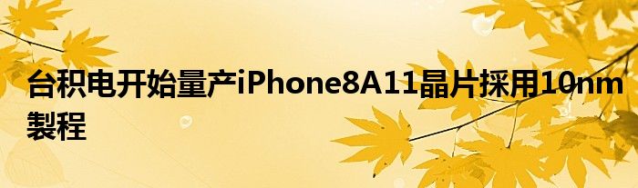 台积电开始量产iPhone8A11晶片採用10nm製程