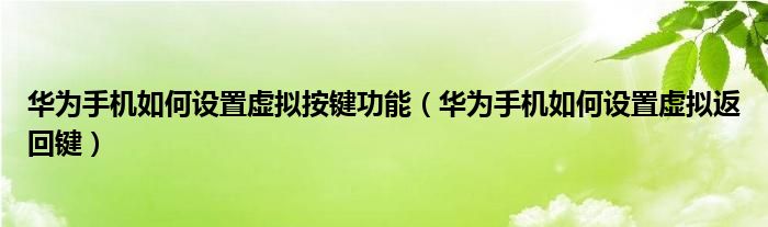 华为手机如何设置虚拟按键功能（华为手机如何设置虚拟返回键）