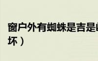 窗户外有蜘蛛是吉是凶（窗户外有蜘蛛是好是坏）