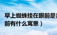 早上蜘蛛挂在眼前是吉是凶（早上蜘蛛挂在眼前有什么寓意）