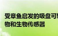 受章鱼启发的吸盘可转移薄而细腻的组织移植物和生物传感器
