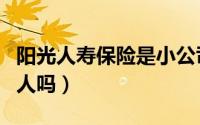 阳光人寿保险是小公司吗（阳光人寿保险是骗人吗）