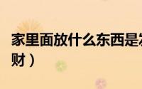 家里面放什么东西是发财的（家里放什么最旺财）