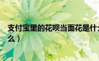 支付宝里的花呗当面花是什么意思（支付宝花呗当面花是什么）