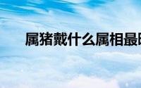 属猪戴什么属相最旺（属猪戴什么好）
