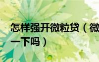 怎样强开微粒贷（微粒贷怎么强开?可以介绍一下吗）